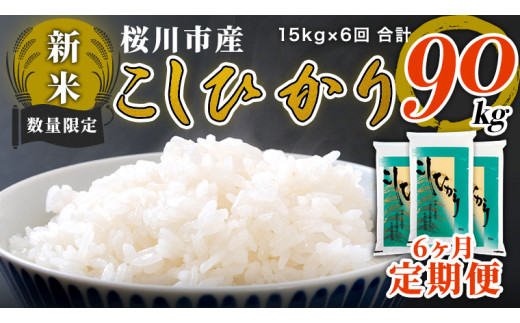 《令和5年産新米》 《6か月定期便》 数量限定 桜川市産 こしひかり 合計90kg 15kg（5kg×3袋）×6回  【2023年10月上旬より発送開始】 茨城県産 桜川 米 お米 白米 コメ ごはん 精米 コシヒカリ 国産 限定 [AX008sa]|株式会社高橋米穀