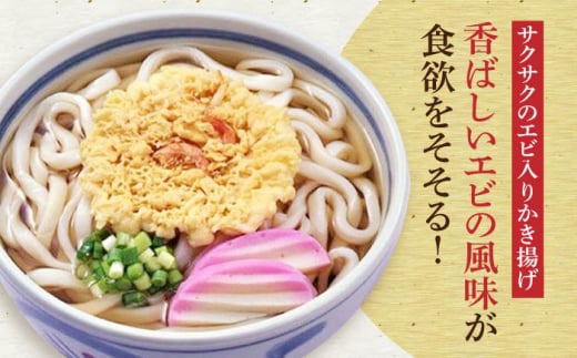 天ぷらうどん（12食入り）《豊前市》【富士菊】うどん 天ぷらうどん