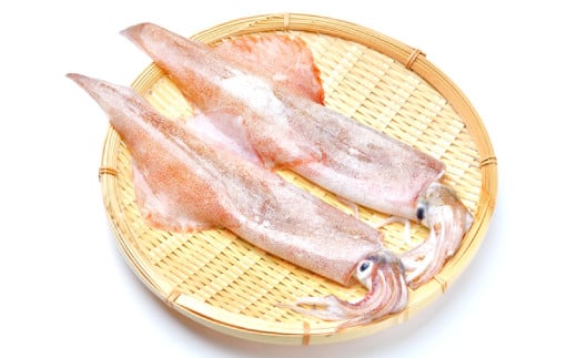 日本海で獲れた新鮮なイカは透明で美しく、コリコリした食感や甘さなど一度食べたら忘れられない味です。