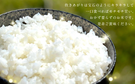 うんこ米 精白米 3kg 福岡県産米 夢つくし 無洗米 お米 - 福岡県香春町