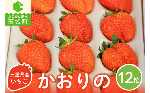 三重県玉城産 いちご 「かおりの」 12粒入り