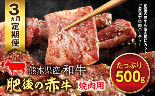 FKP9-452 【3ヵ月定期】肥後の赤牛 焼肉用（500g） 805234 - 熊本県球磨村