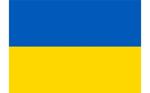 【返礼品なし】ウクライナ支援（県内の方は”「お礼の品」不要の寄附をする”からお手続き願います） 773875 - 兵庫県兵庫県庁