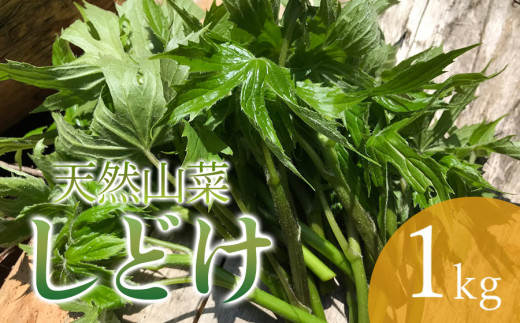 天然しどけ 1㎏ わかば屋 687429 - 山形県鶴岡市