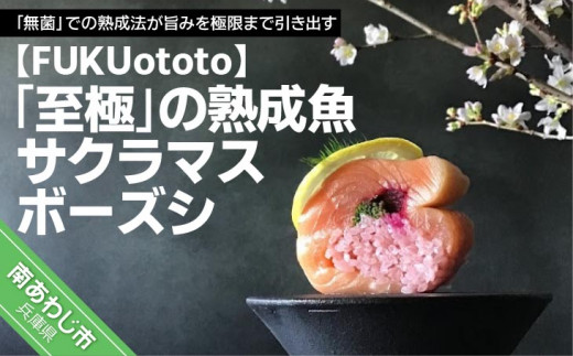 「至極」の熟成魚 サクラマスボーズシ 677410 - 兵庫県南あわじ市