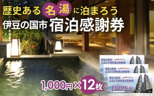 No.171101-04D 伊豆の国市宿泊感謝券D(1000円×12枚)