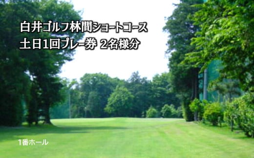 白井ゴルフ林間ショートコース 土日1回プレー券 2名様分 869973 - 千葉県白井市