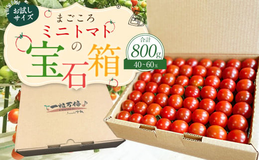 お試しサイズ まごころミニトマトの宝石箱 800g (約40～60玉)