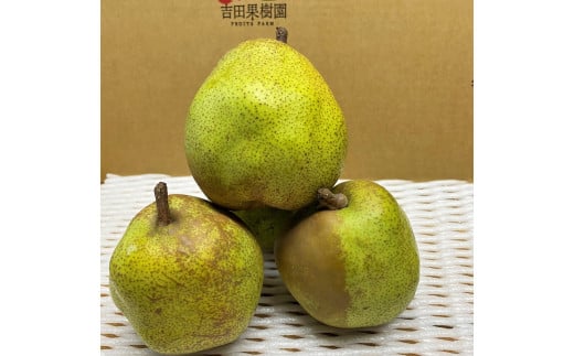 アイテムID:374184の画像2枚目