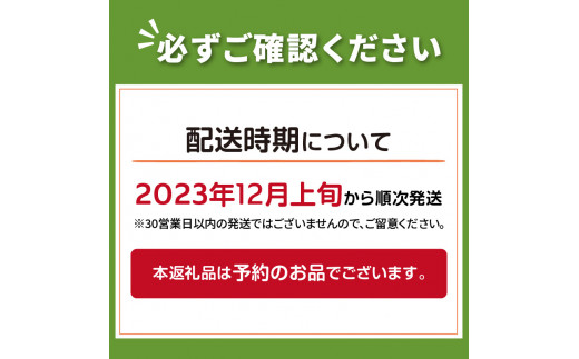 予約：2023年12月上旬から順次発送】【訳あり】あしながにんにく 60g×4