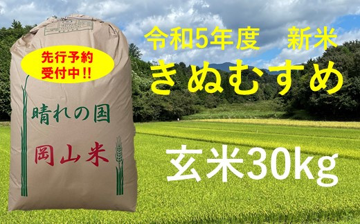 令和5年産 食味コンテスト受賞者の作るお米シリーズ「きぬむすめ玄米