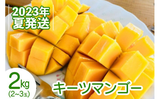 【2023年夏発送】甘~い口当たりの幻のキーツマンゴー!2kg(2~3玉) 695234 - 沖縄県豊見城市