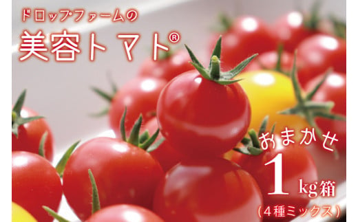 CK-7　ドロップファームの美容トマトおまかせ1kg箱(４種ミックス) 821925 - 茨城県水戸市