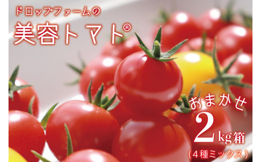 CK-2　ドロップファームの美容トマト おまかせ2kg箱(４種ミックス) 768341 - 茨城県水戸市