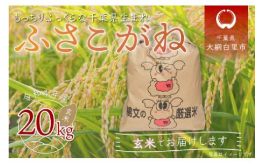 新米】令和5年産 千葉県産エコ米「コシヒカリ」玄米20kg（20kg×1袋