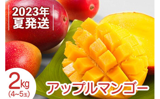 【2023年夏発送】アップルマンゴー！2kg箱（4～5玉）
