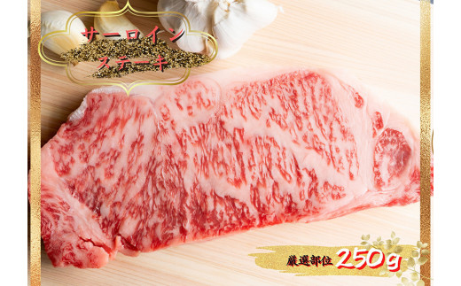 博多和牛サーロインステーキ　250g（250g×1枚） 291588 - 福岡県田川市