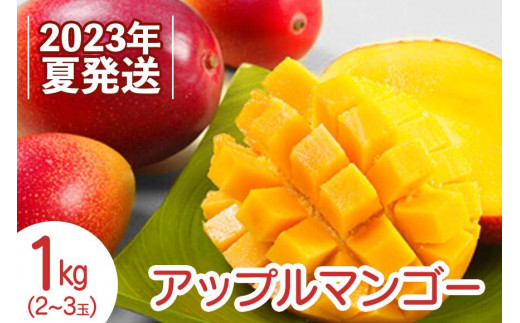 【2023年夏発送】アップルマンゴー！1kg箱（2～3玉）
