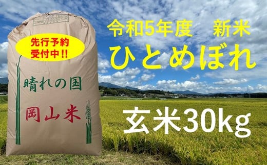 令和5年産 食味コンテスト受賞者の作るお米シリーズ「ひとめぼれ玄米