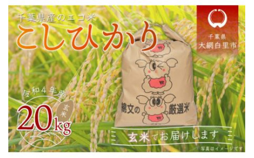 【新米】令和5年産 千葉県産エコ米「コシヒカリ」玄米20kg（20kg