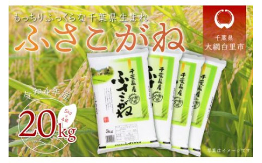 【新米】令和5年産 千葉県産「ふさこがね」20kg（5kg×4袋） お米