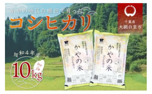 新米】令和5年産 千葉県大網白里市萱野地区産「コシヒカリ」10kg（5kg