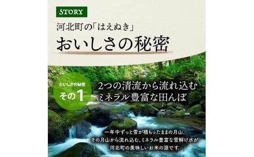 令和5年産米】2024年5月下旬発送 はえぬき20kg （5kg×4袋）山形県産