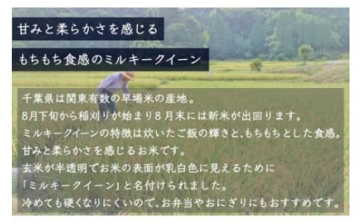 千葉県大網白里市のふるさと納税 【新米】令和6年産 千葉県産「ミルキークイーン」10kg（5kg×2袋） お米 10kg 千葉県産 大網白里市 ミルキークイーン 米 精米 こめ 送料無料