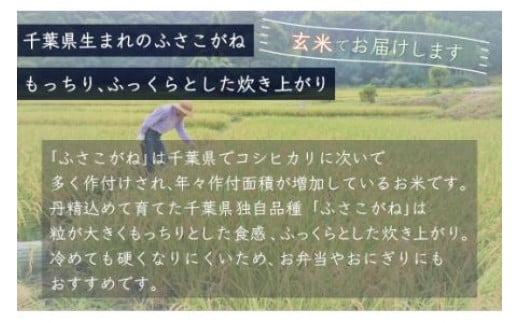 千葉県大網白里市のふるさと納税 【新米】令和6年産 千葉県産「ふさこがね」玄米10kg（10kg×1袋） ふるさと納税 玄米 10kg 千葉県産 大網白里市 ふさこがね 米 こめ 送料無料