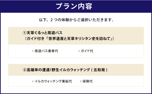 寄附額10,000円で選べる熊本の観光体験メニュー！（天草エリア