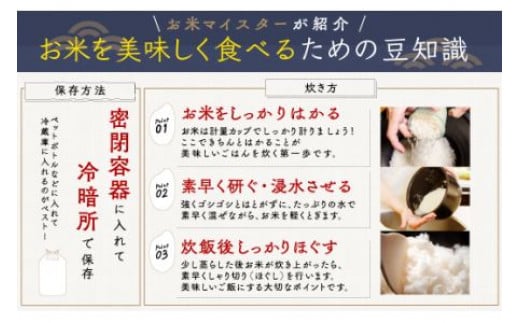 千葉県大網白里市のふるさと納税 【新米】令和6年産 千葉県産「ふさこがね」玄米10kg（10kg×1袋） ふるさと納税 玄米 10kg 千葉県産 大網白里市 ふさこがね 米 こめ 送料無料