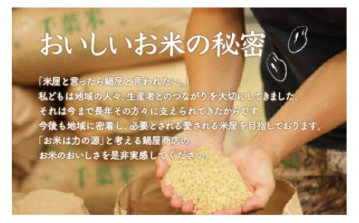 令和5年産 2年連続特A評価!千葉県産コシヒカリ10kg無洗米（5kg×2袋