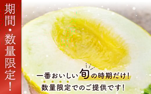 先行予約・数量限定！6月末発送＊旬にお届け(^^♪