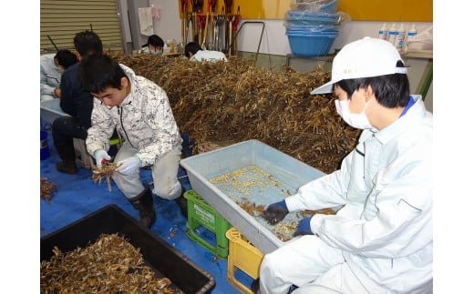 学校の農園で収穫した小豆を、一つ一つ丁寧に手作業で選別し、高品質の小豆缶を作っています。