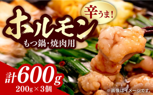 【やみつき辛うま！】もつ鍋・焼肉用 国産ホルモン  200g ×3個《豊前市》【ますだ産業】 [VBV001]