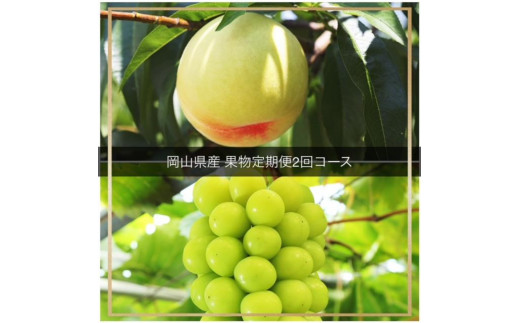 GC19　フルーツ ［2023年先行予約］ 岡山県産　果物定期便 2回コース 732463 - 岡山県倉敷市