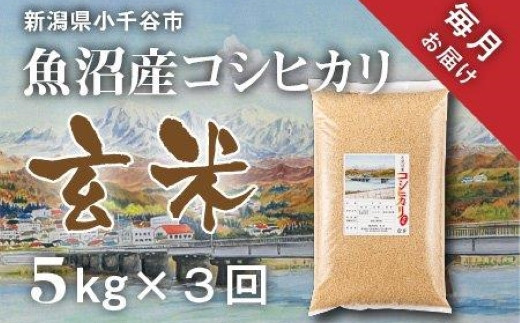 r05-027-010KM 〔定期便 毎月〕〔玄米 選別品〕令和4年産 魚沼産コシヒカリ玄米定期便 5kg×3回【毎月お届け】（米太）