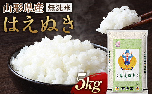 定期便】山形県産《無洗米》はえぬき 10kg（5kg×2）×6回 F21A-448