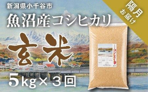 r05-027-011KM 〔定期便 隔月〕〔玄米 選別品〕令和4年産 魚沼産コシヒカリ玄米定期便 5kg×3回【隔月お届け】（米太）