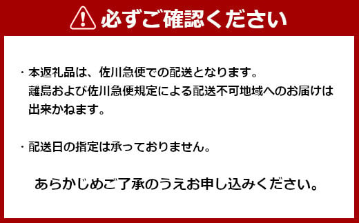 r05-015-010 【へぎそば・生麺・年越し用】小千谷のへぎそば・生麺（4