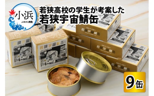 若狭宇宙鯖缶 9缶セット