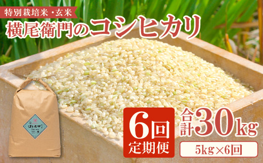 神戸市西区産コシヒカリ(新米)30kg 小分け販売も承ります！今年