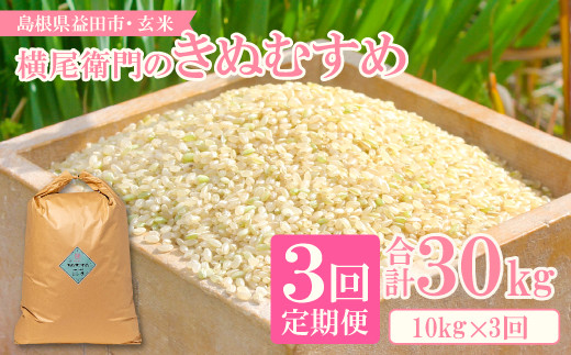 令和４年産  島根県産きぬむすめ 玄米 10kg