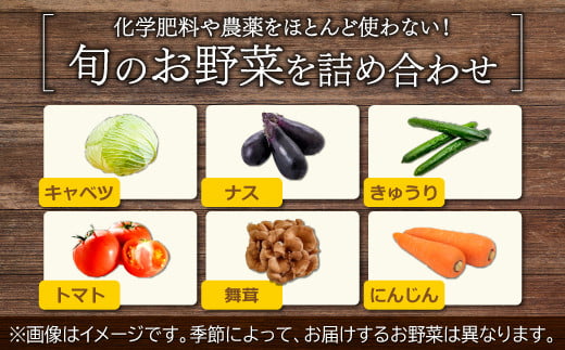 化学肥料や農薬をほとんど使用しない！旬のお野菜の詰め合わせです♪
※季節によって、お届けするお野菜は異なります。