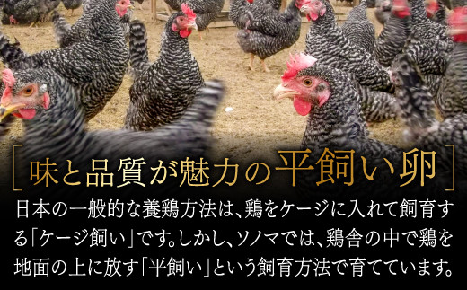 日本の一般的な養鶏方法は、「ケージ飼い」ですが、ソノマでは「平飼い」という飼育方法で育てています。