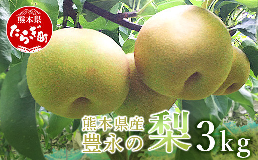 2023年7月下旬発送開始】 熊本県産 梨 約3kg 幸水 新高 新興 豊水 秋月