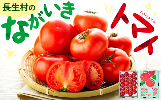 E01-001 ながいきトマト 4kg 708107 - 千葉県長生村