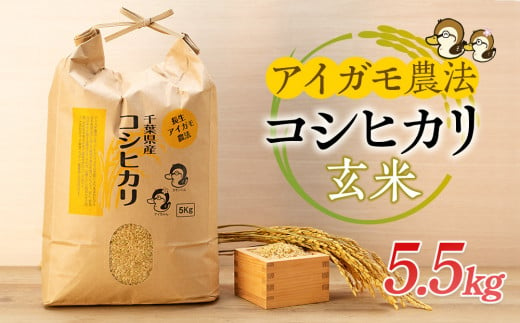 A01-002 アイガモ農法によるお米（玄米5.5kg） 707363 - 千葉県長生村