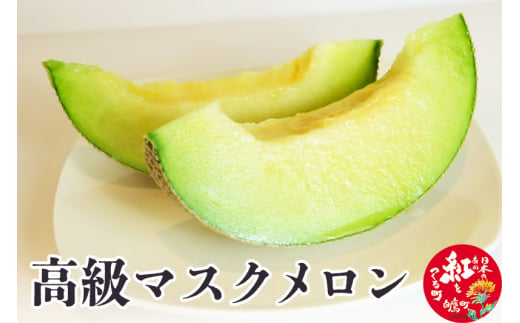 高級マスクメロン 1玉 山形県産 果物 フルーツ