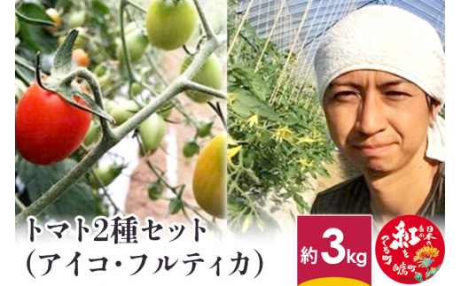 トマト2種セット (アイコ・フルティカ)  約3kg 山形県産 【2024年8月上旬～9月下旬に順次発送予定】